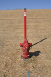 Rhino TriView Fire Hydrant Marker Posts